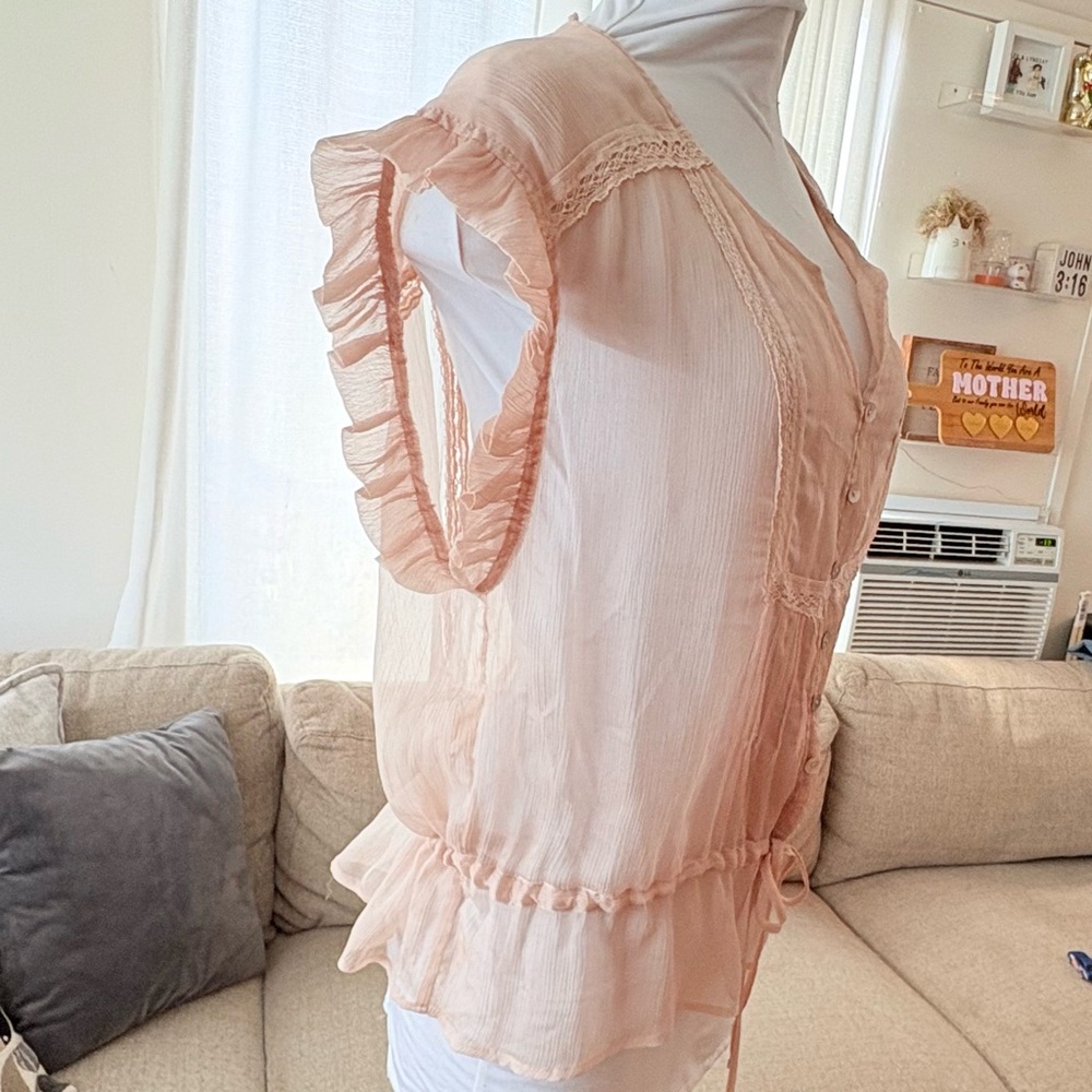Gorgeous Sheer Daniel Rainn Blush Button-Down Blouse in excellent condition - Picture 4 of 5